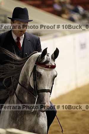 Proof 10buck_0154