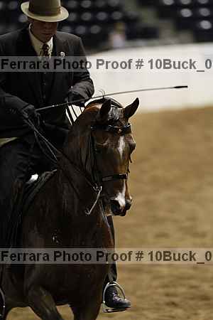 Proof 10buck_0161