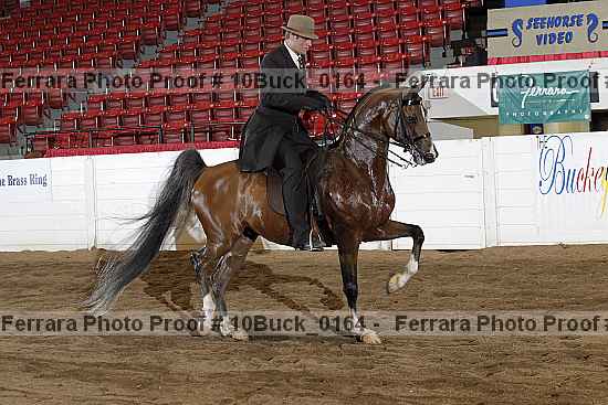 Proof 10buck_0164