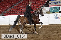 10buck_0164 proof