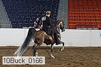 10buck_0166 proof