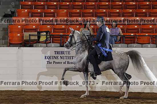 Proof 10buck_0173