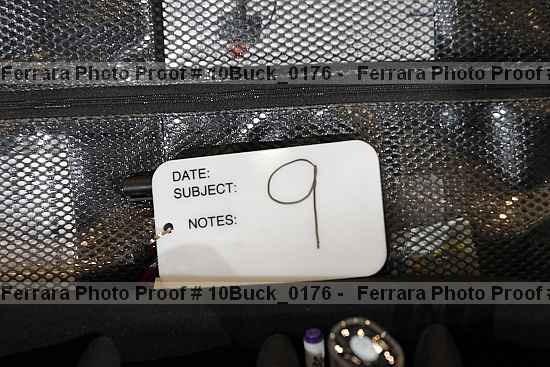 Proof 10buck_0176