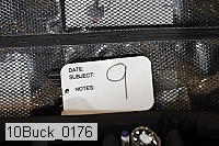 10buck_0176 proof