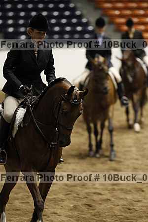 Proof 10buck_0187