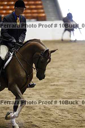 Proof 10buck_0190