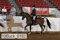 10buck_0192 proof