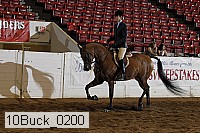 10buck_0200 proof