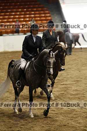 Proof 10buck_0204