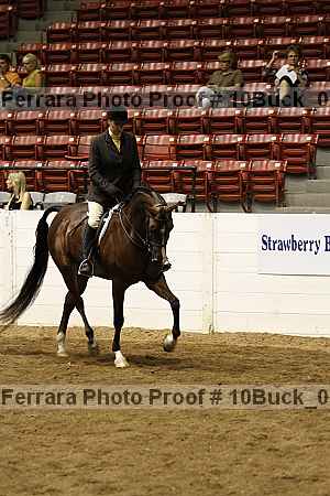 Proof 10buck_0212