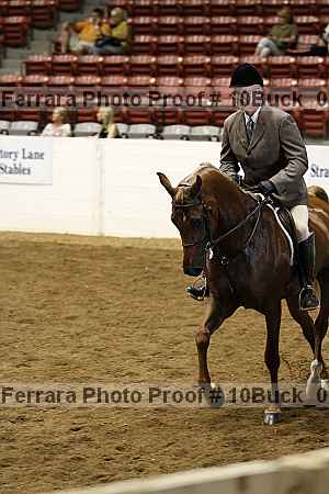 Proof 10buck_0213
