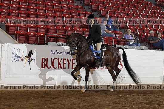 Proof 10buck_0216