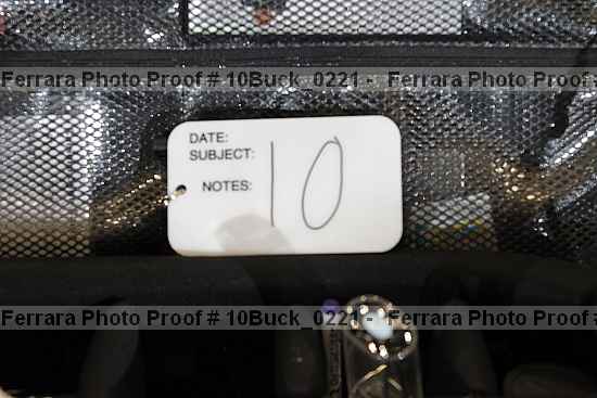 Proof 10buck_0221