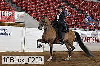 10buck_0229 proof