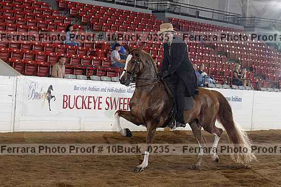 Proof 10buck_0235