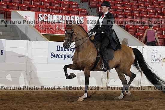 Proof 10buck_0236