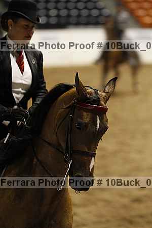 Proof 10buck_0237