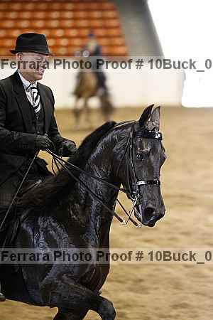 Proof 10buck_0238