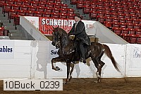 10buck_0239 proof