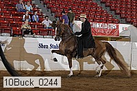 10buck_0244 proof