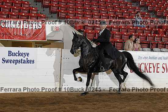 Proof 10buck_0245