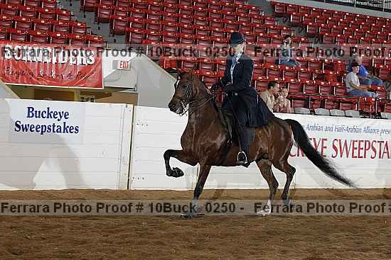 Proof 10buck_0250