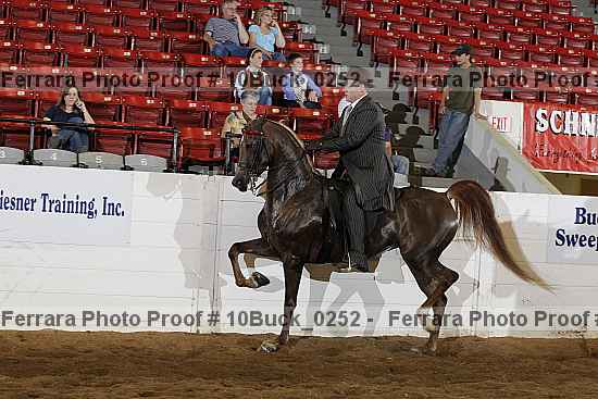 Proof 10buck_0252