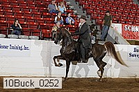10buck_0252 proof
