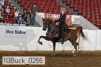 10buck_0255 proof
