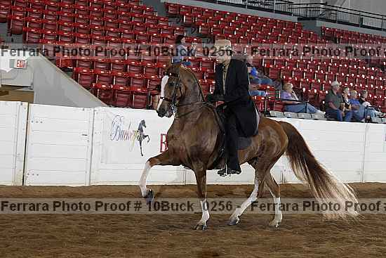 Proof 10buck_0256