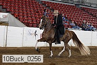 10buck_0256 proof