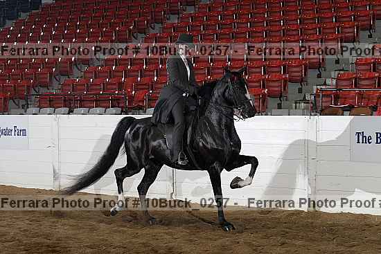 Proof 10buck_0257