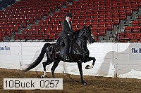 10buck_0257 proof