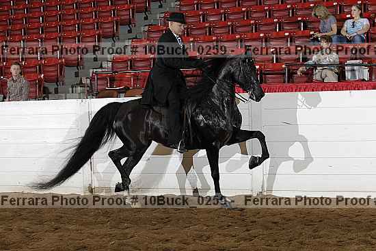 Proof 10buck_0259