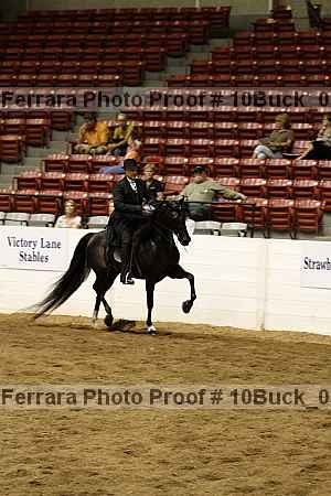 Proof 10buck_0260