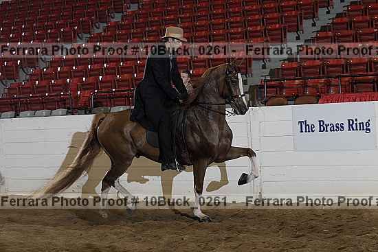 Proof 10buck_0261