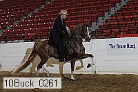 10buck_0261 proof
