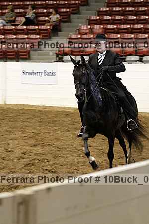 Proof 10buck_0262