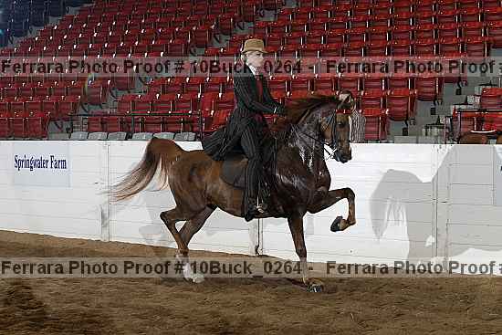 Proof 10buck_0264