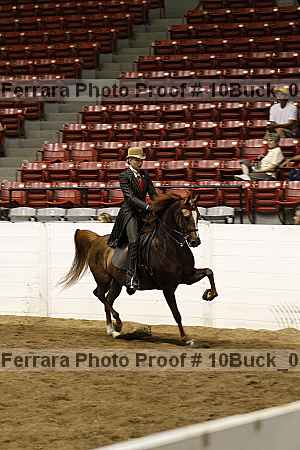 Proof 10buck_0265