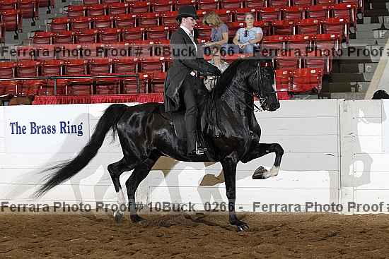 Proof 10buck_0266
