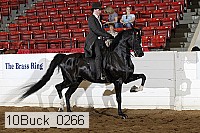 10buck_0266 proof