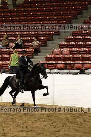 Proof 10buck_0267