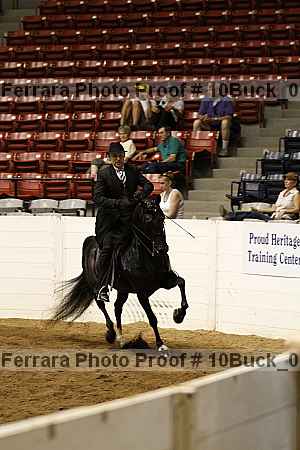 Proof 10buck_0268