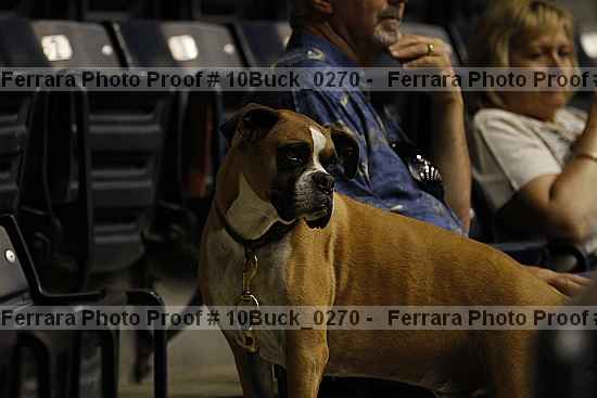 Proof 10buck_0270
