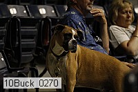 10buck_0270 proof