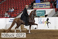 10buck_0272 proof
