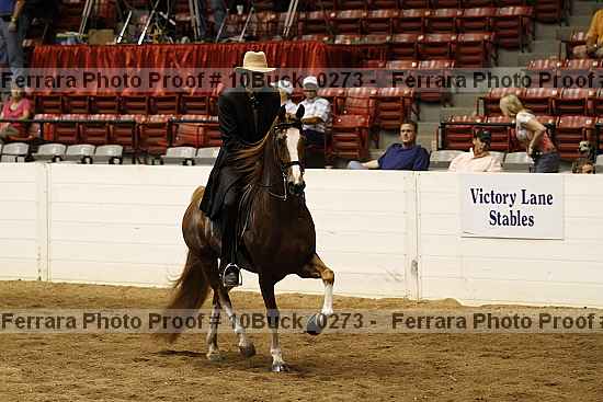 Proof 10buck_0273