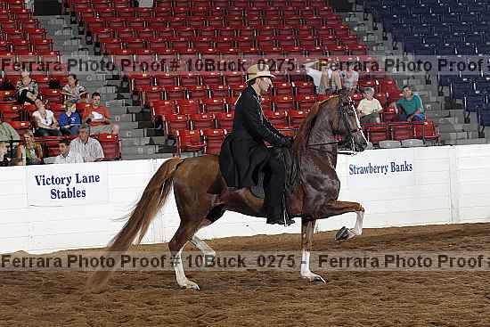 Proof 10buck_0275