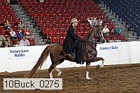 10buck_0275 proof
